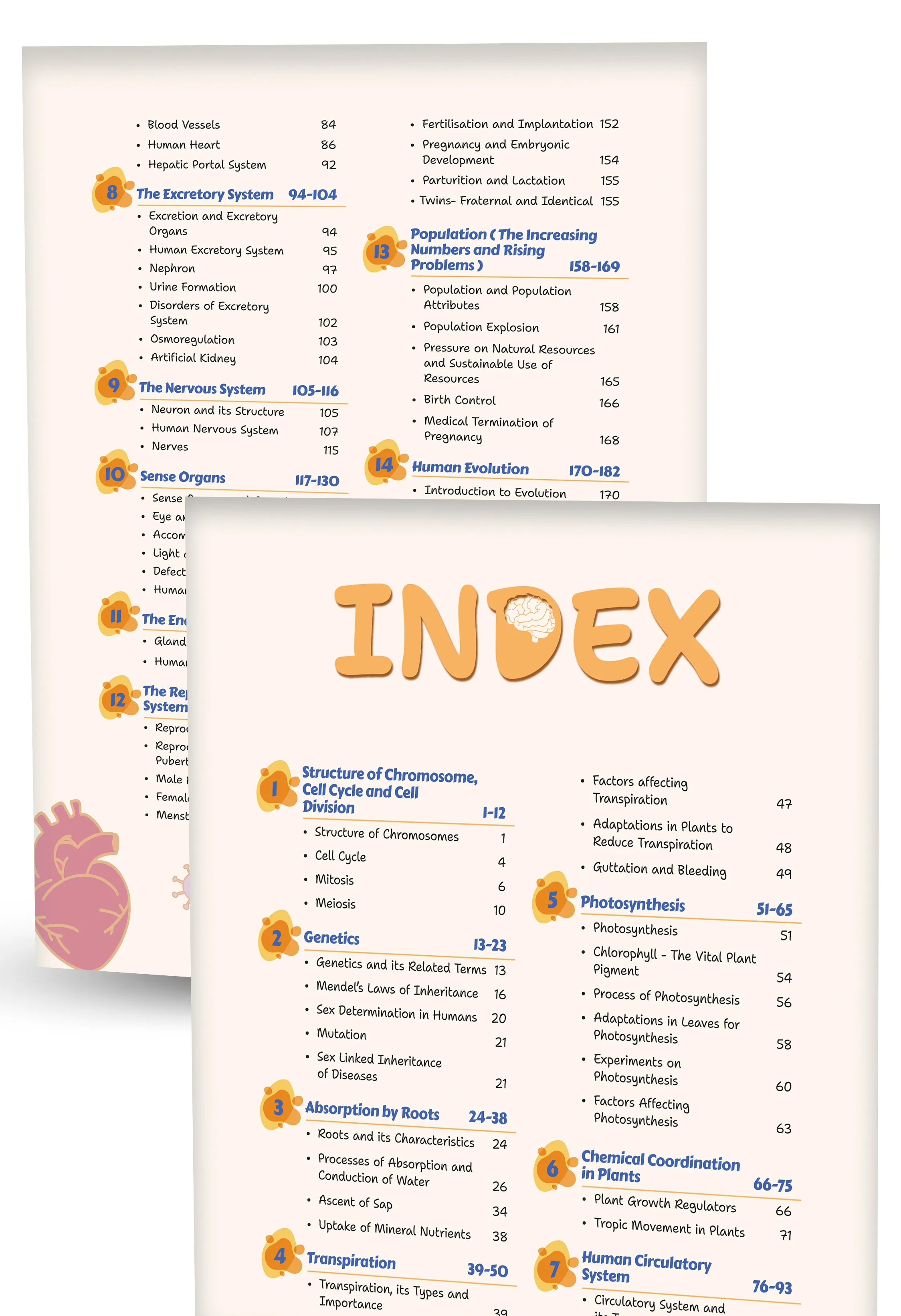 Educart Handouts ICSE Class 10 Biology Handwritten Notes 2027 (Half-Yearly & Periodic Tests & Chapter-wise Study Material for 2026-27 Board Exam