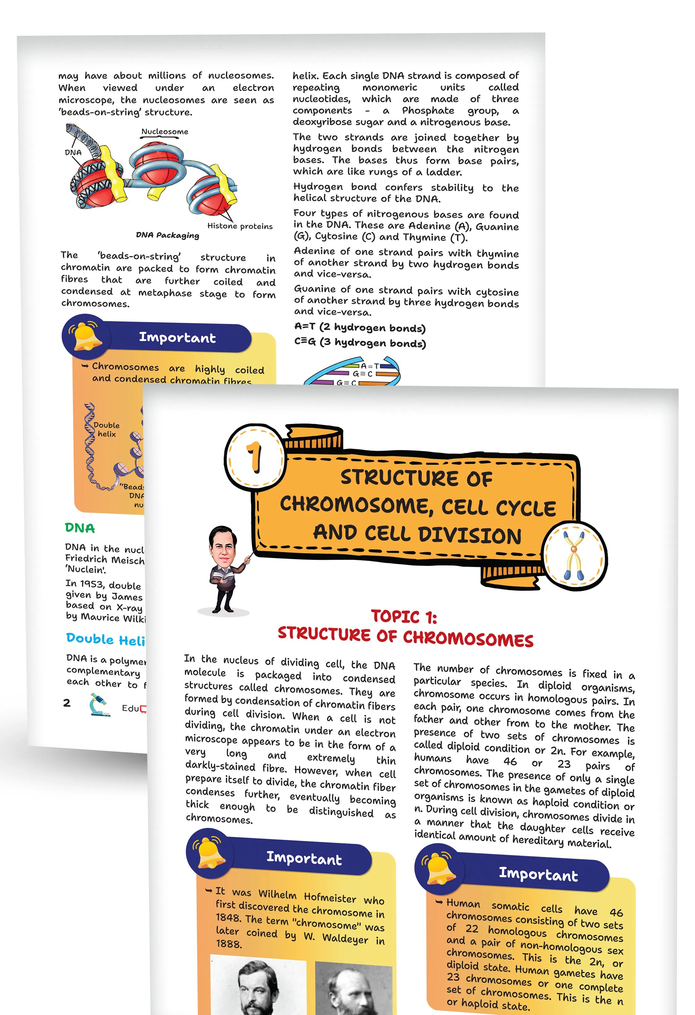 Educart Handouts ICSE Class 10 Biology Handwritten Notes 2027 (Half-Yearly & Periodic Tests & Chapter-wise Study Material for 2026-27 Board Exam