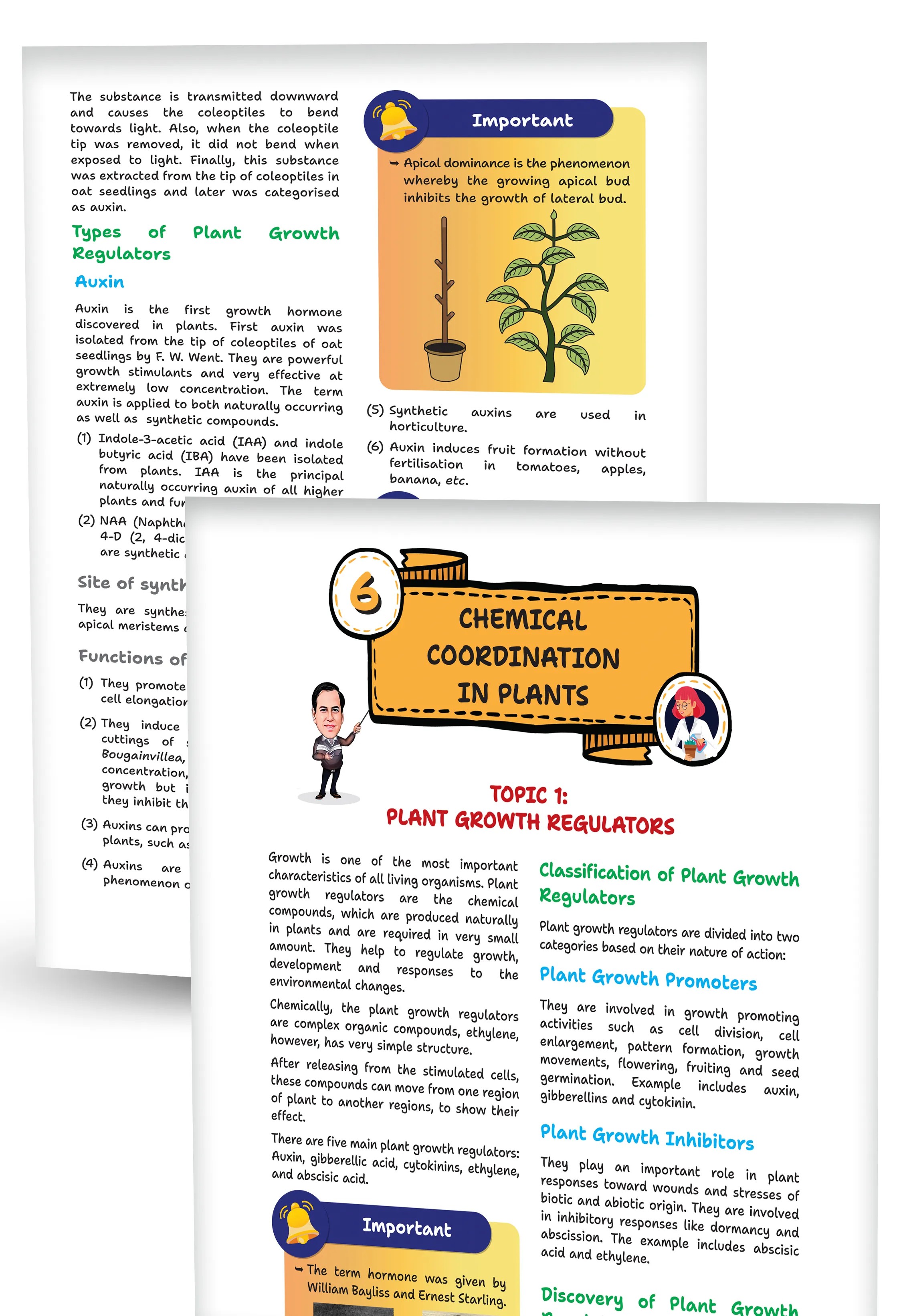 Educart Handouts ICSE Class 10 Biology Handwritten Notes 2027 (Half-Yearly & Periodic Tests & Chapter-wise Study Material for 2026-27 Board Exam