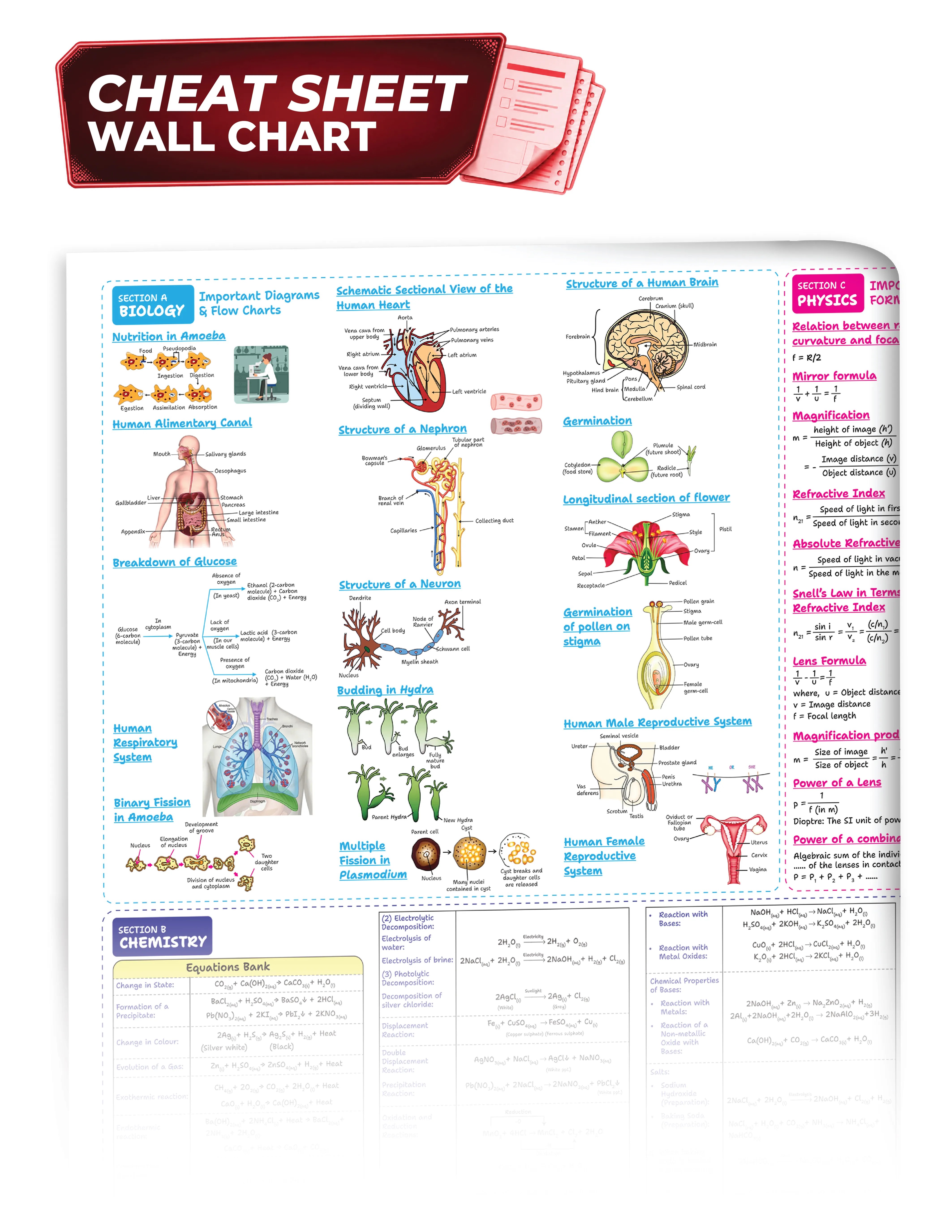 Educart CBSE Sample Paper Class 10 2026-27 Science (with Topper-Style Solutions & Cheat Sheet Wall Chart) For 2027 Exam
