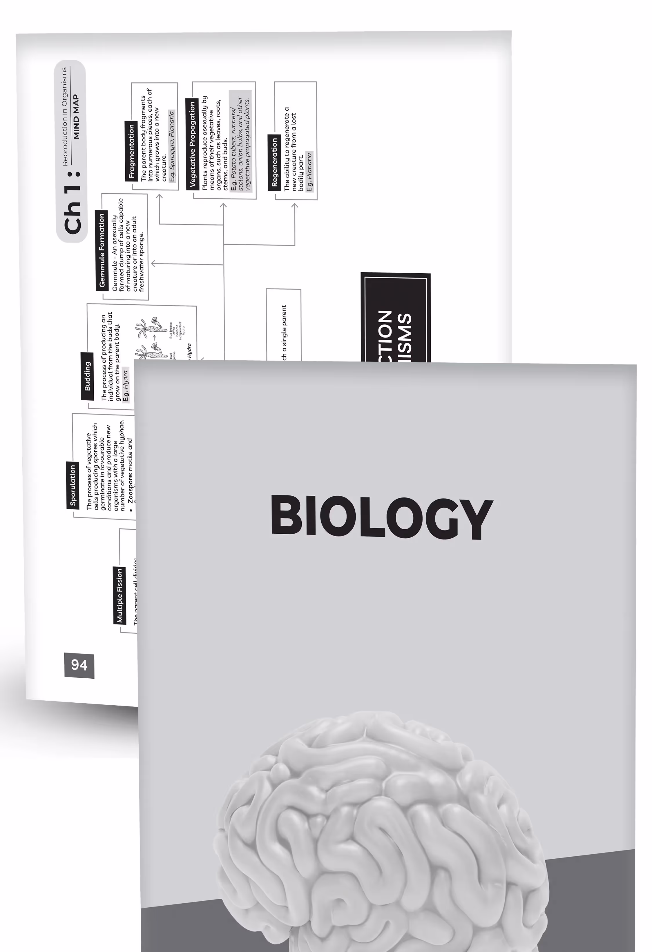 Educart CUET UG Entrance Exam Books 2025 Science Mind Maps – Physics, Chemistry, Mathematics and Biology