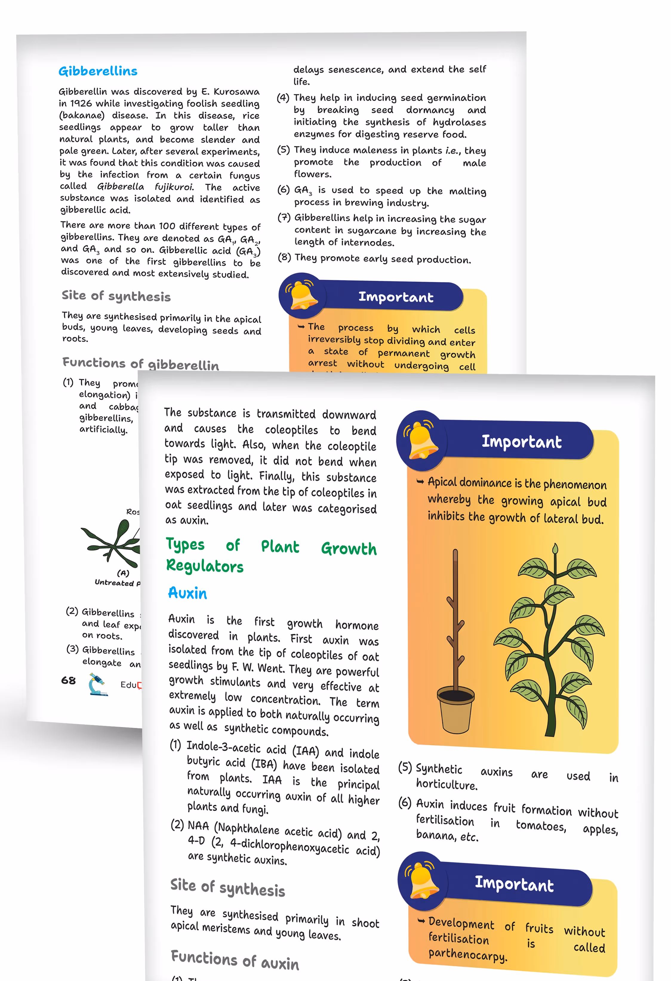 Educart Handouts ICSE Class 10 Biology Handwritten Notes 2026 (for PTs, half-yearly and board exam 2025-26)
