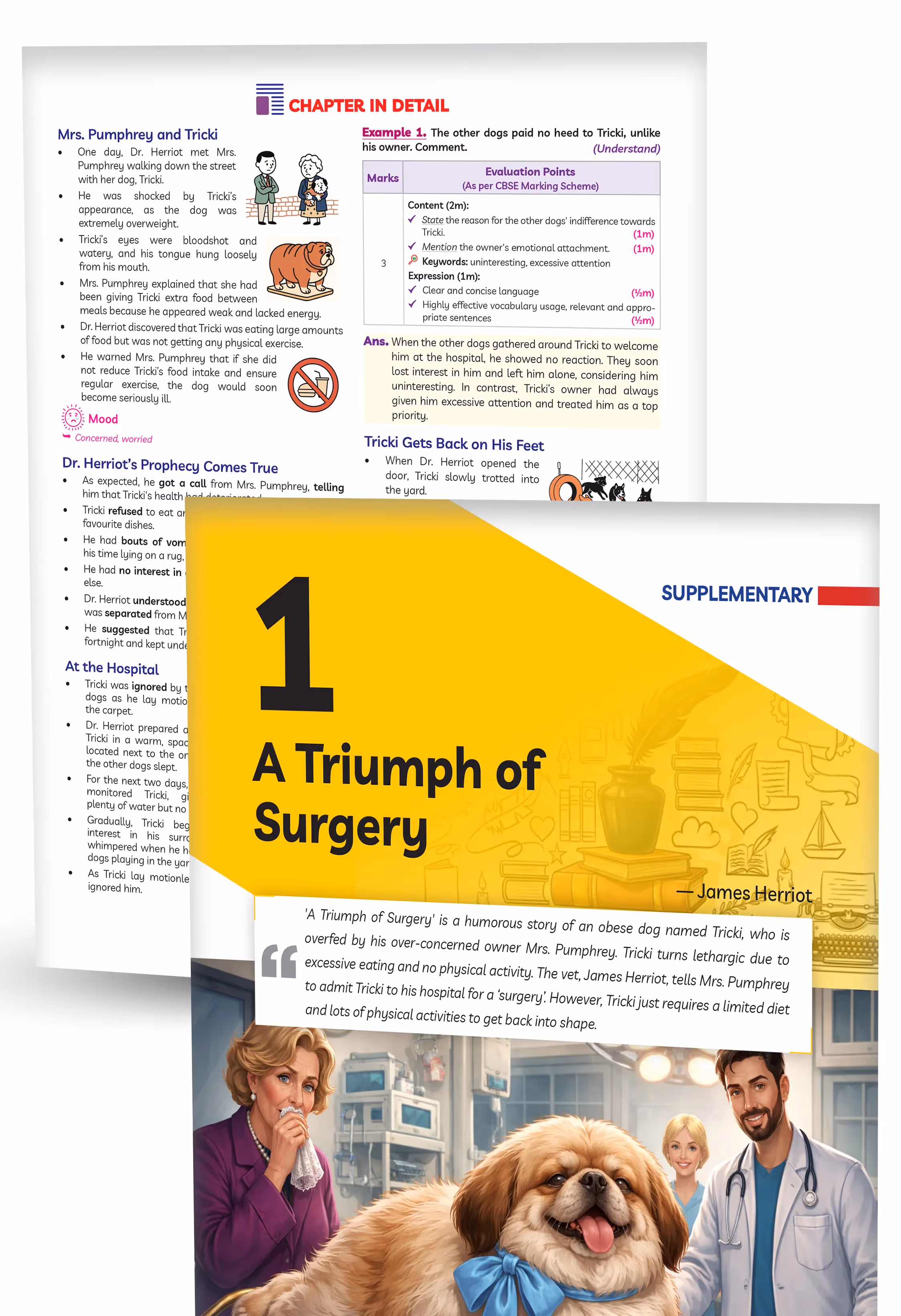 Educart CBSE Class 10 English Question Bank 2026-27 | Chapterwise, Case-Based & Competency-Based Qs | Unit Test Worksheets, Notes & Visuals | NCERT Based CBSE 2027