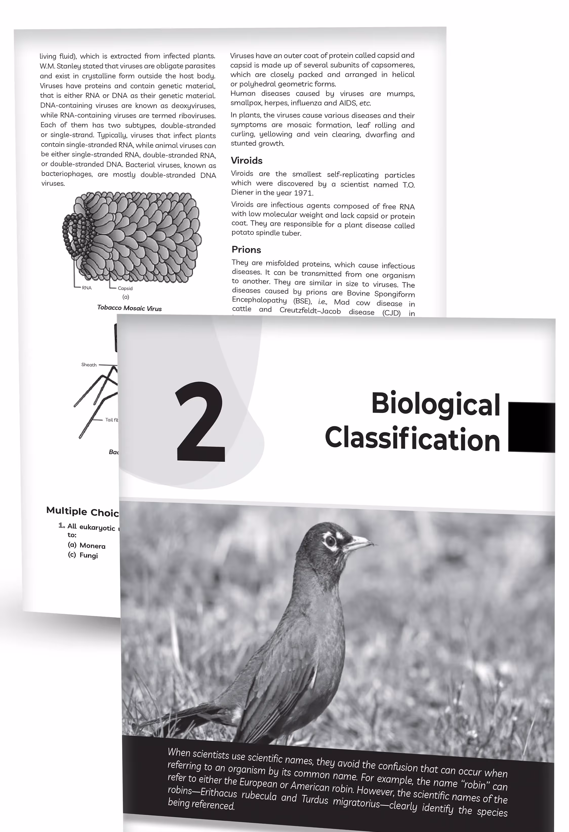 Educart CBSE Class 11 Biology Question Bank 2026-27 (Strictly Based on Latest Syllabus for 2027 Exam)