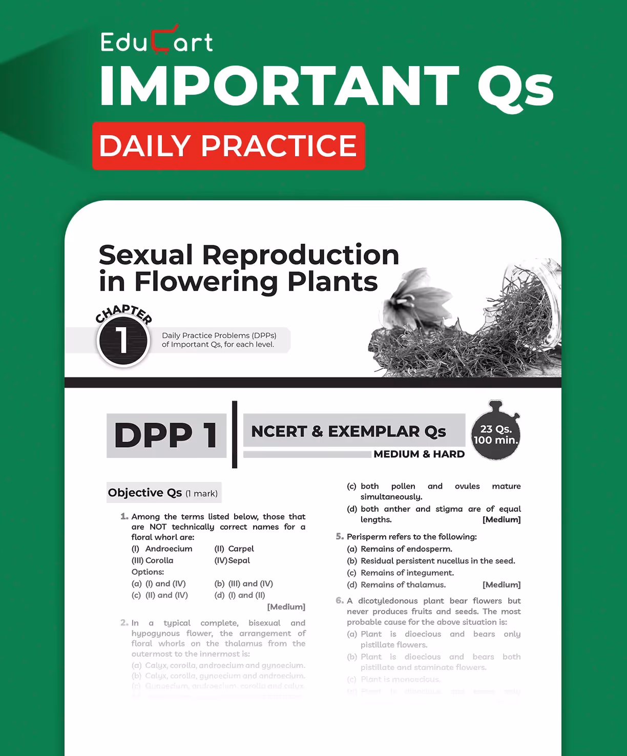 Educart CBSE Class 12 Biology One Shot Question Bank 2026–27 | NCERT Questions, PYQs & Competency-Based Qs | Unit Test Worksheet | Latest CBSE Syllabus & Exam Pattern 2027