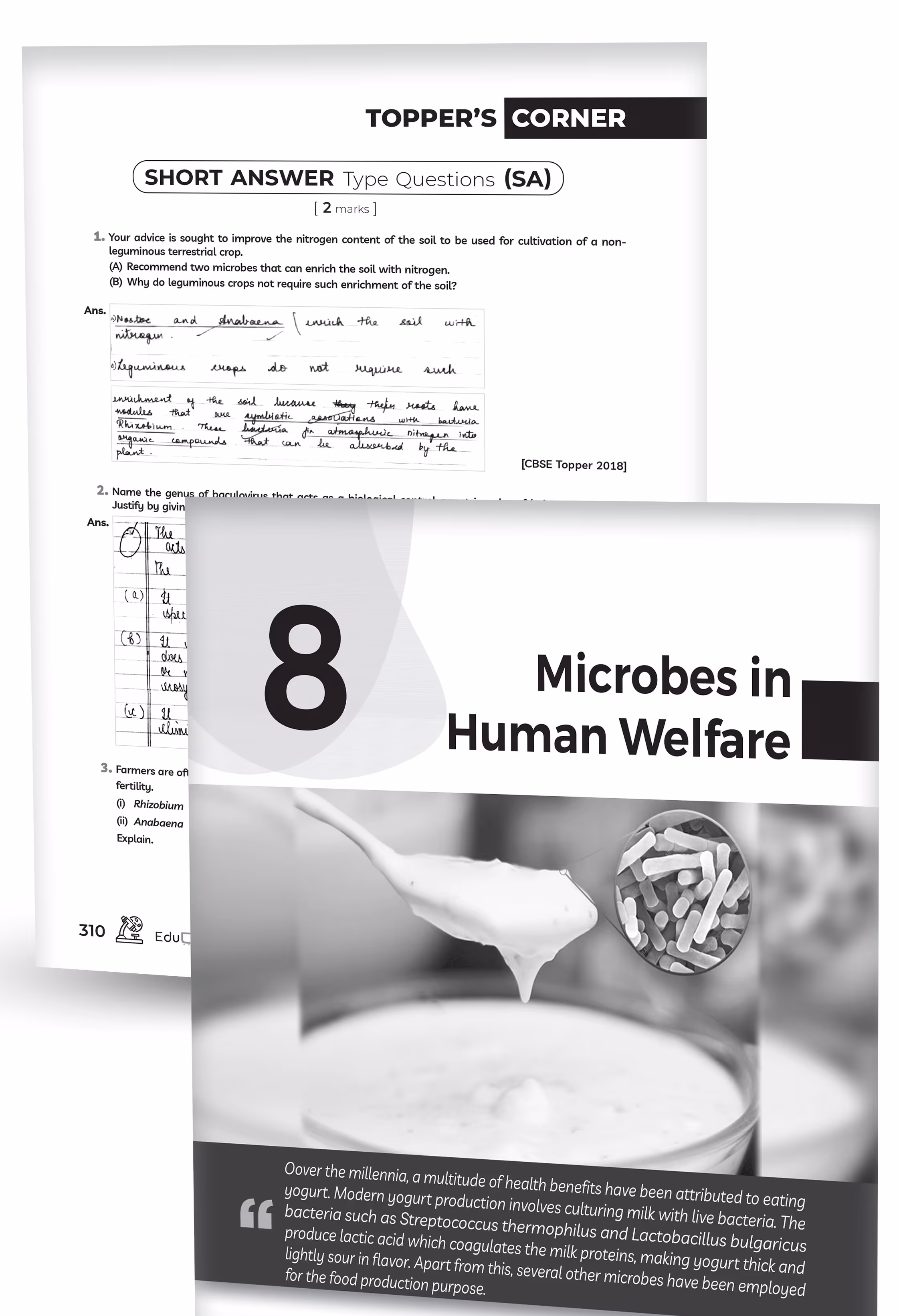 Educart CBSE Class 12 Biology Question Bank 2026–27 | 2027 Syllabus | Chapter-wise PYQs, MCQs, Case-Based Qs, Assertion Reason & Notes | NCERT-Based