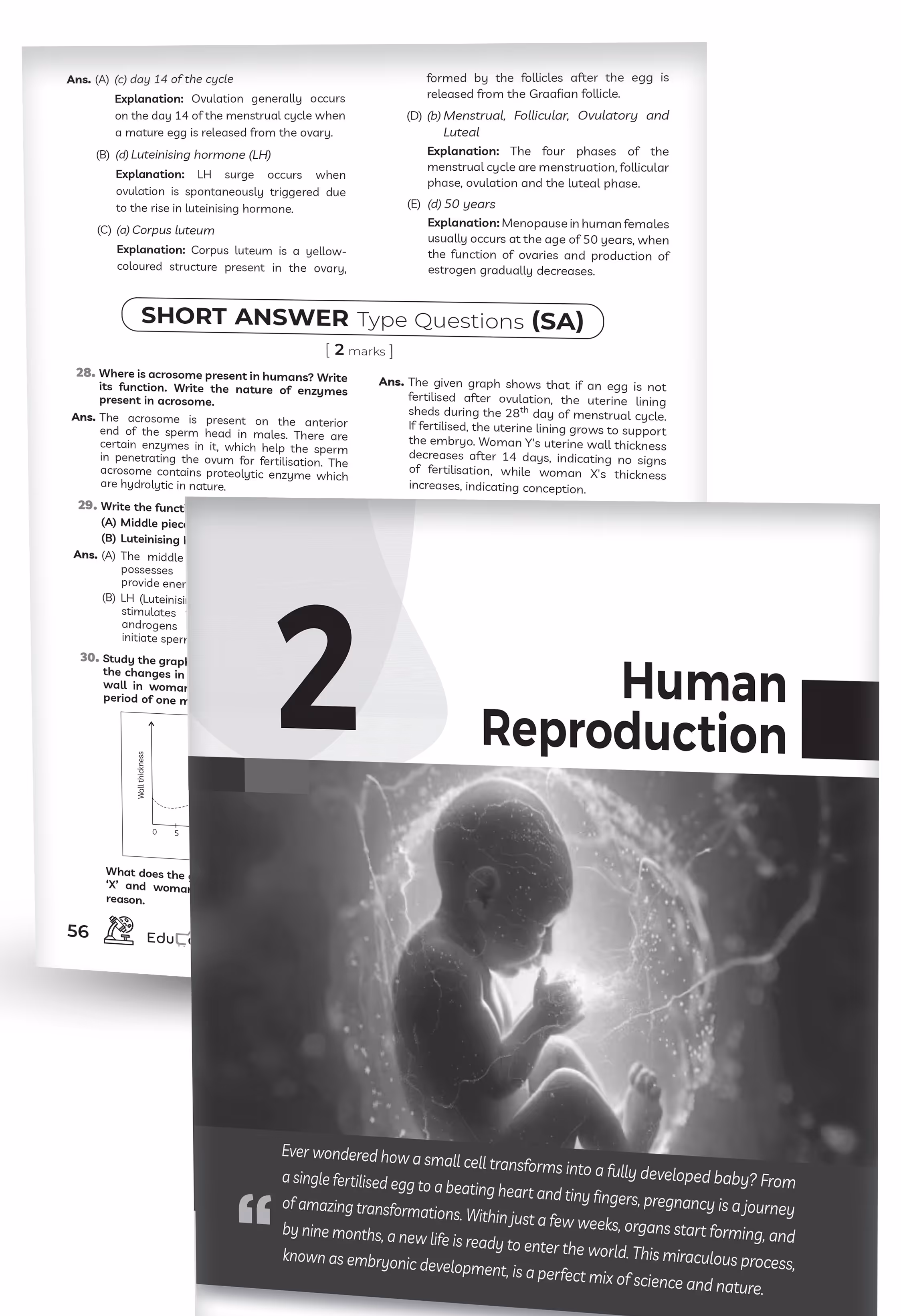 Educart CBSE Class 12 Biology Question Bank 2026–27 | 2027 Syllabus | Chapter-wise PYQs, MCQs, Case-Based Qs, Assertion Reason & Notes | NCERT-Based