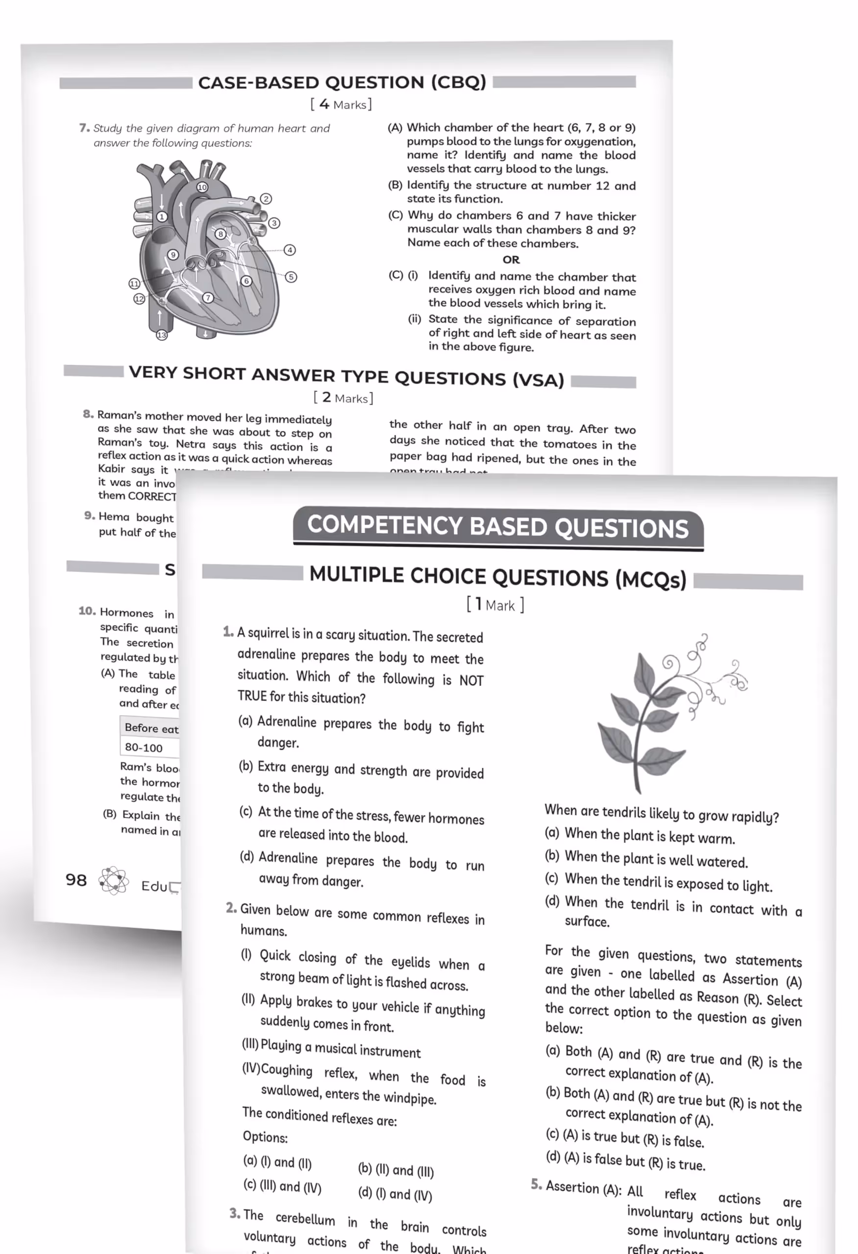 Educart NCERT Exemplar Class 10 Science 2026 Problems Solutions (For 2026-27 Board Exam)