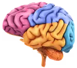 biology by  tarun rupani