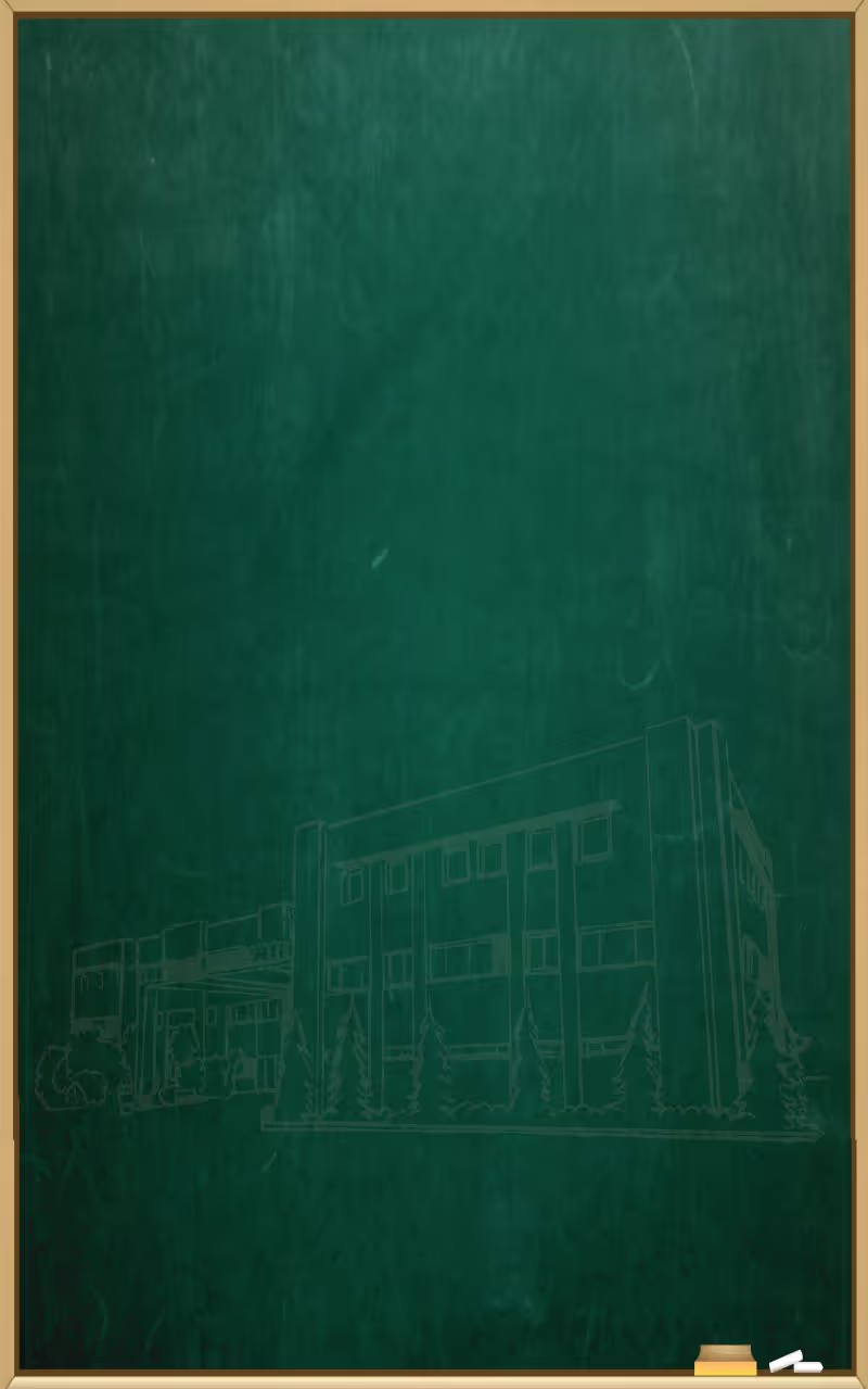 green board  background mobile 